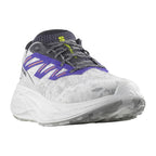Souliers de course Salomon Aero Glide 2 (hommes)