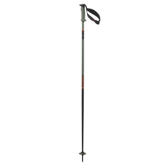 Salomon Polar Pro S3 Alpine Ski Poles