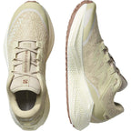 Salomon M's Aero Glide 3 GRVL Running Shoes