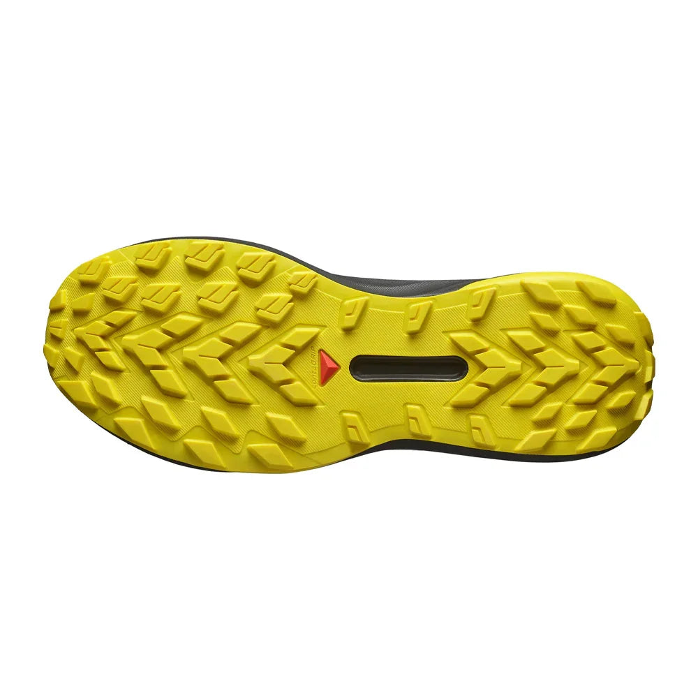 Souliers de course en sentier Salomon Genesis (hommes)