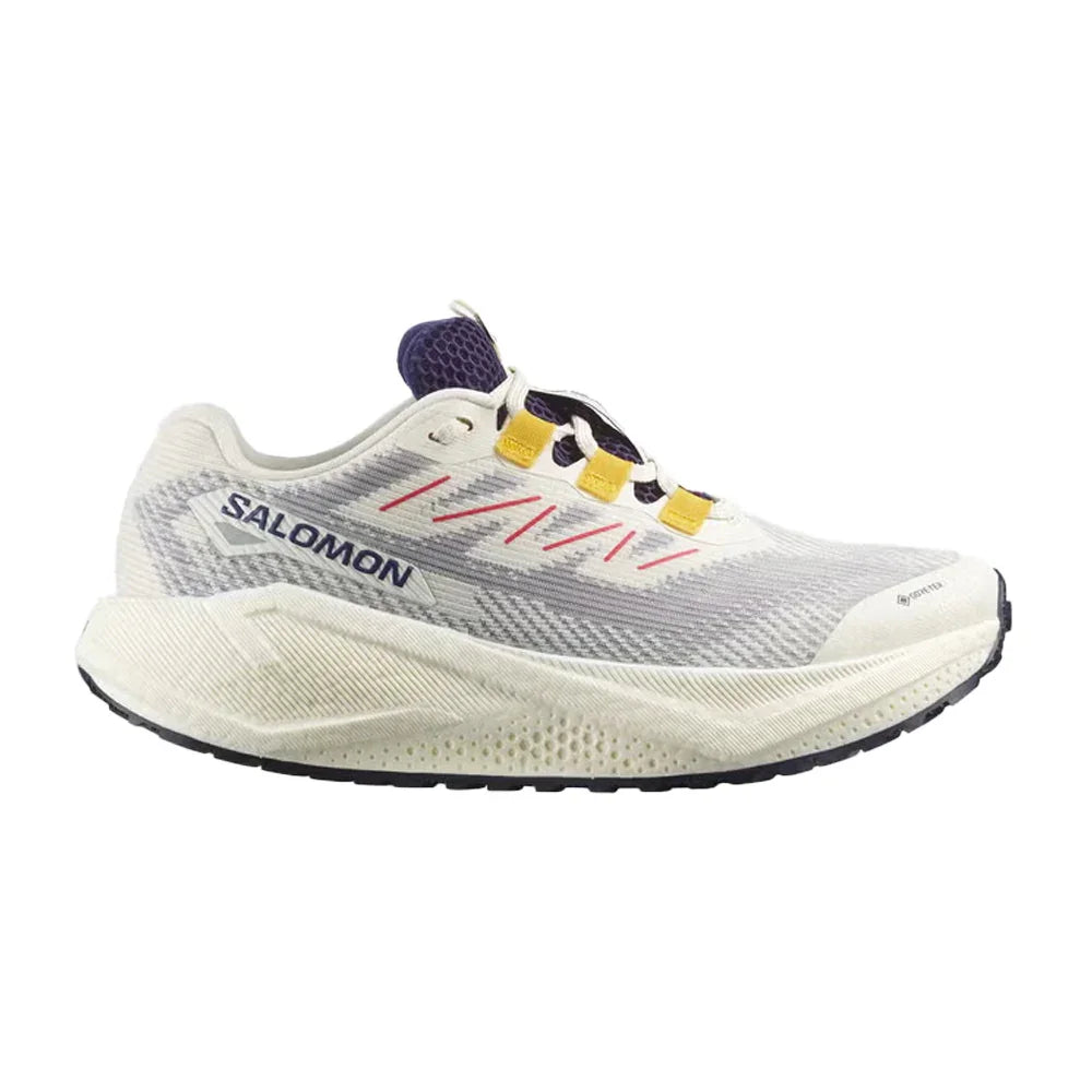 Souliers de course Salomon Aero Blaze 3 Grvl GTX (femmes)