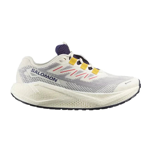 Souliers de course Salomon Aero Blaze 3 Grvl GTX (femmes)