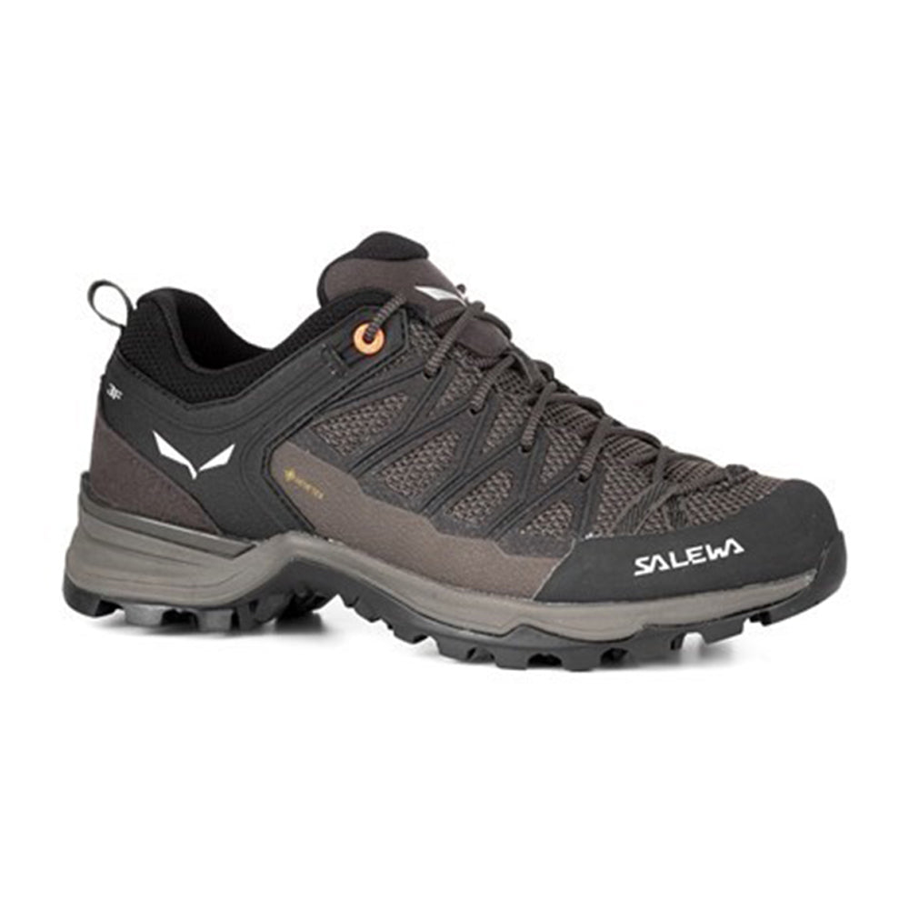 Souliers de randonnée Salewa Mountain Lite GTX (femmes)