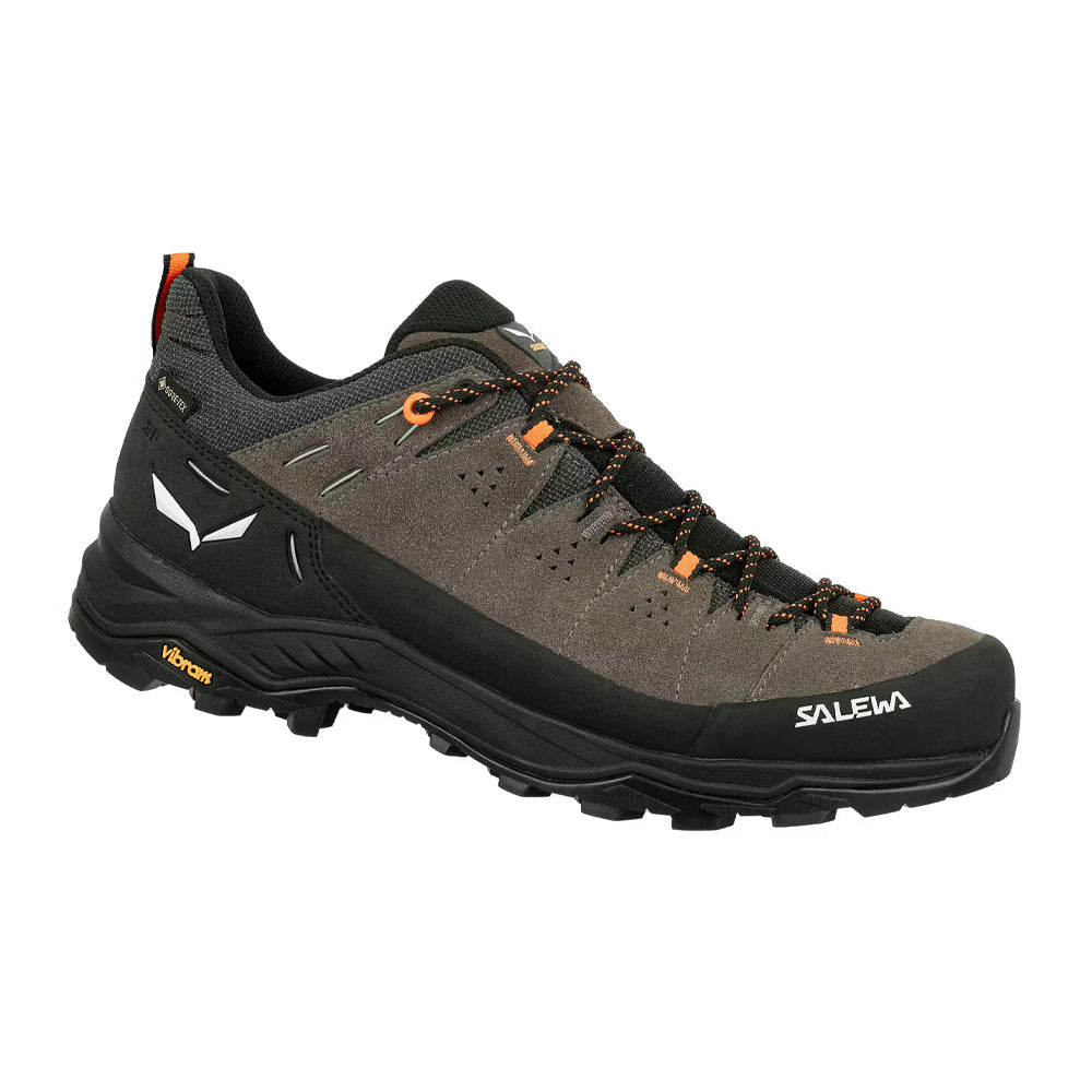 Salewa M's Alp Trainer 2 GTX Hiking Shoes