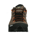 Salewa M's Alp Trainer 2 GTX Hiking Shoes