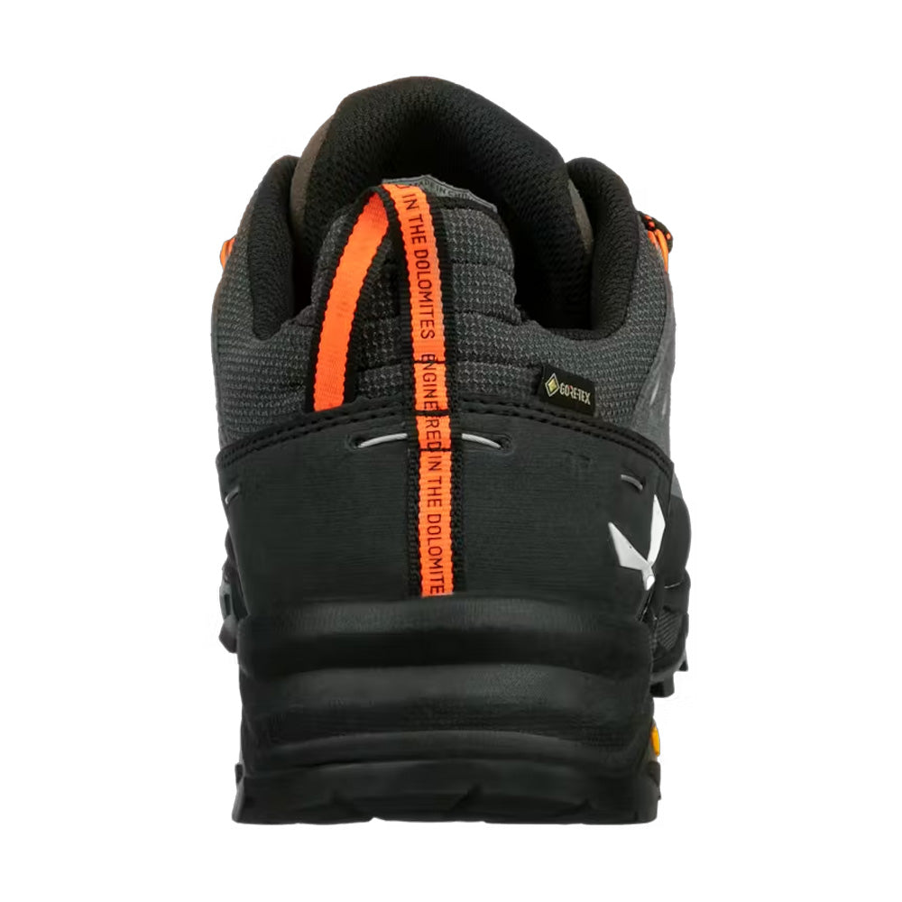 Salewa M's Alp Trainer 2 GTX Hiking Shoes
