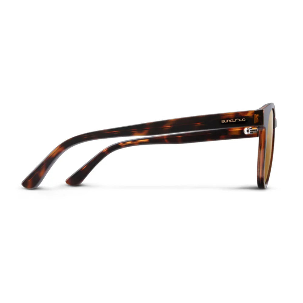 Lunettes de soleil Suncloud Barnes