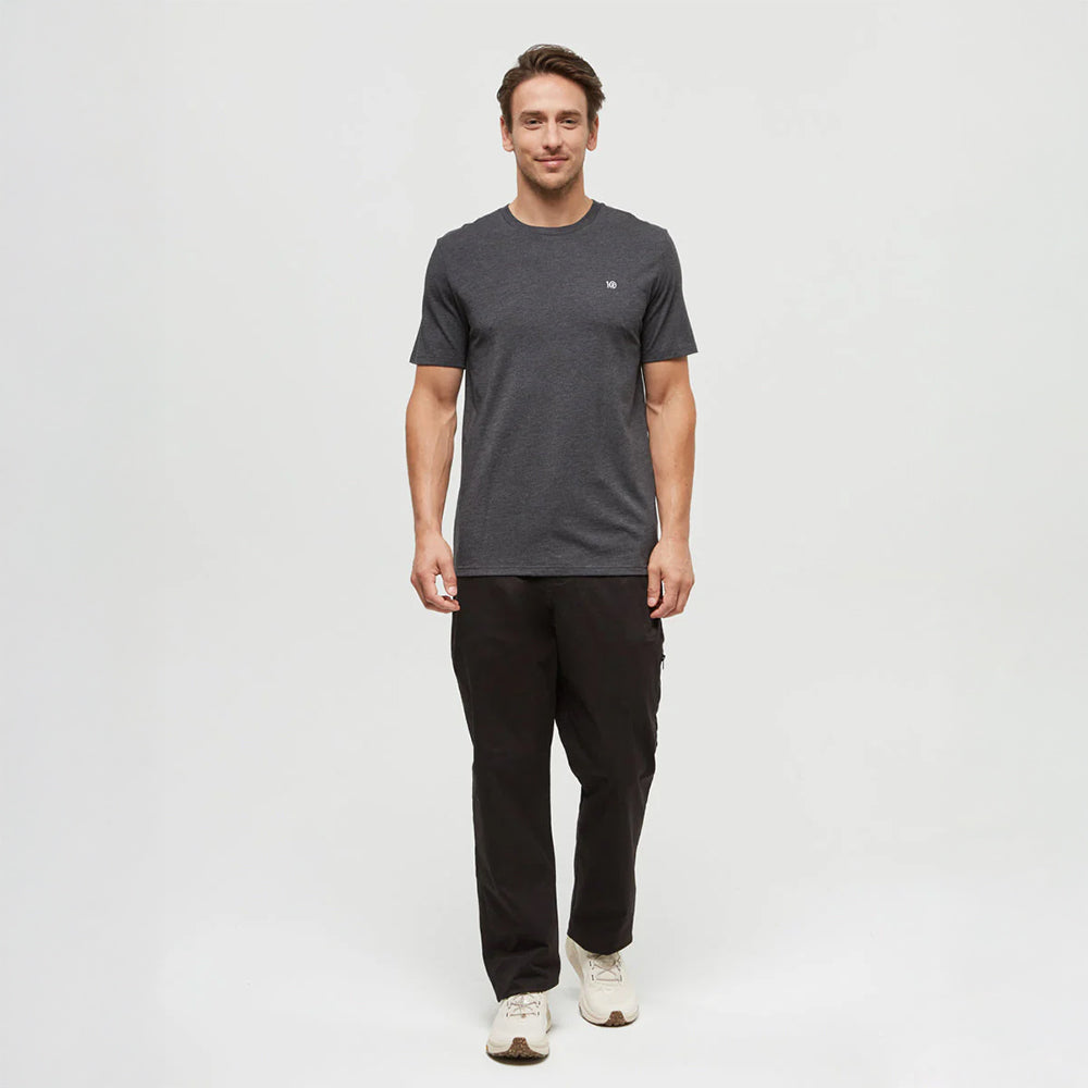 T-shirt Tentree Embroidered Ten (hommes)