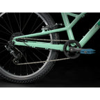 Trek Kids' Wahoo 24 Path Bike