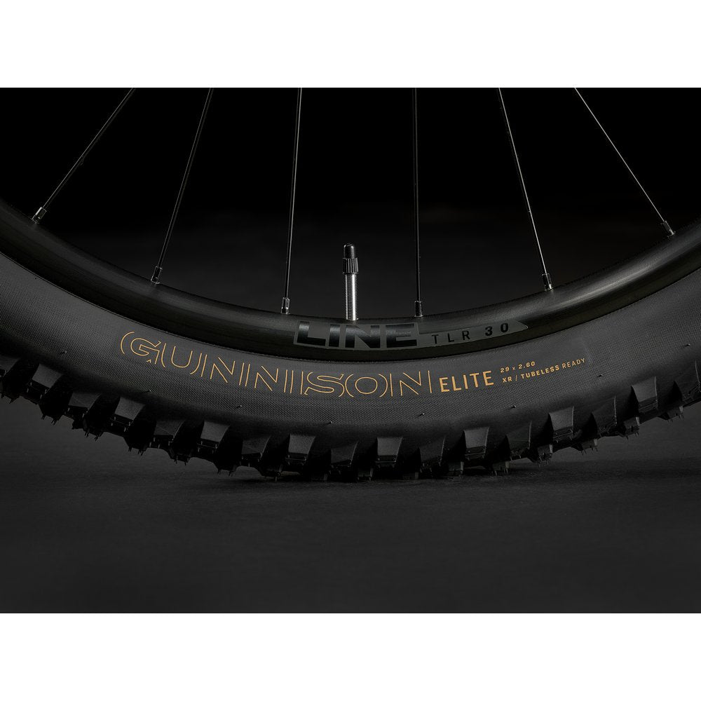 Trek Roscoe 6 Mountain Bike