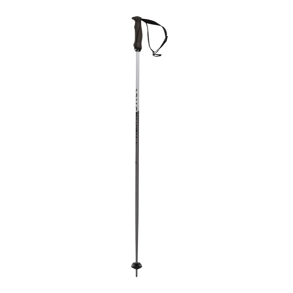 Völk Phantastick Alpine Ski Poles