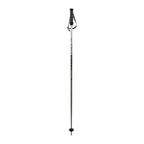 Völk Phantastick Alpine Ski Poles