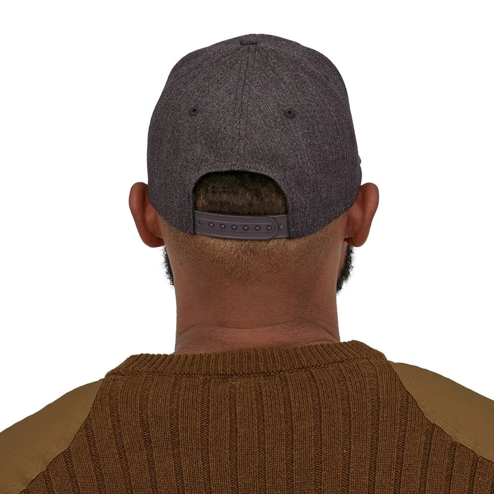 Patagonia Tin Shed Cap
