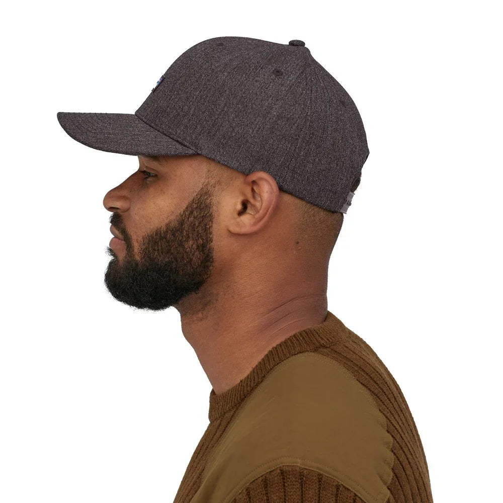 Patagonia Tin Shed Cap