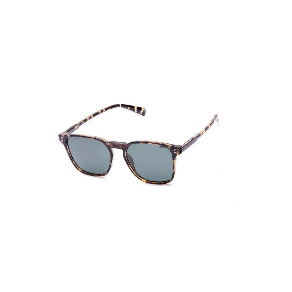 Lunettes de soleil Urban Element Windward