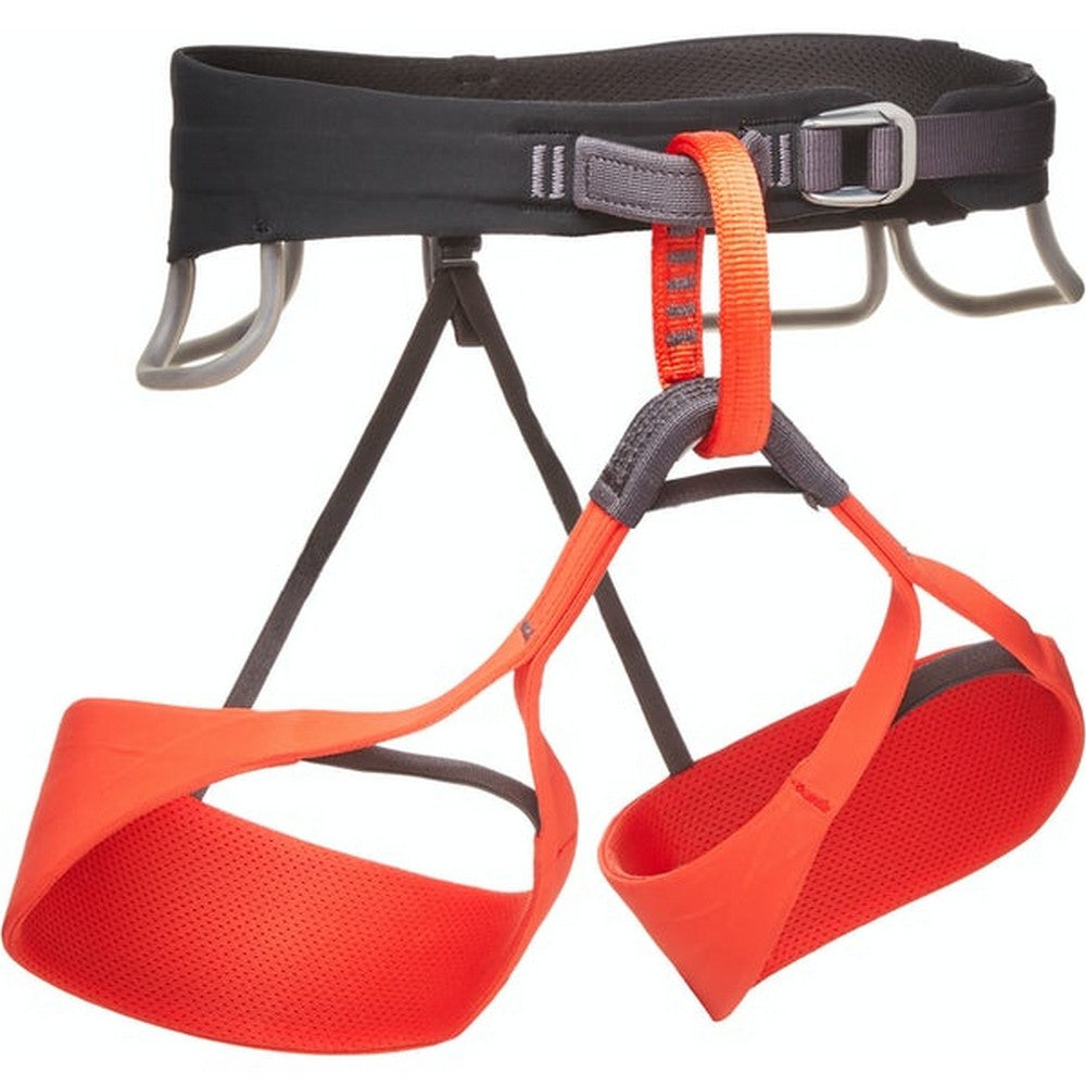 Black Diamond W's Solution Harness
