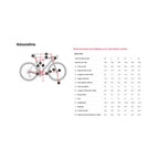 Trek Checkpoint ALR 4 Gravel Bike