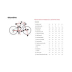 Vélo hybride Trek FX 1 Gen 4