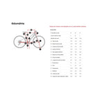 Trek FX 2 Mid-Step Gen 4 Hybrid Bike