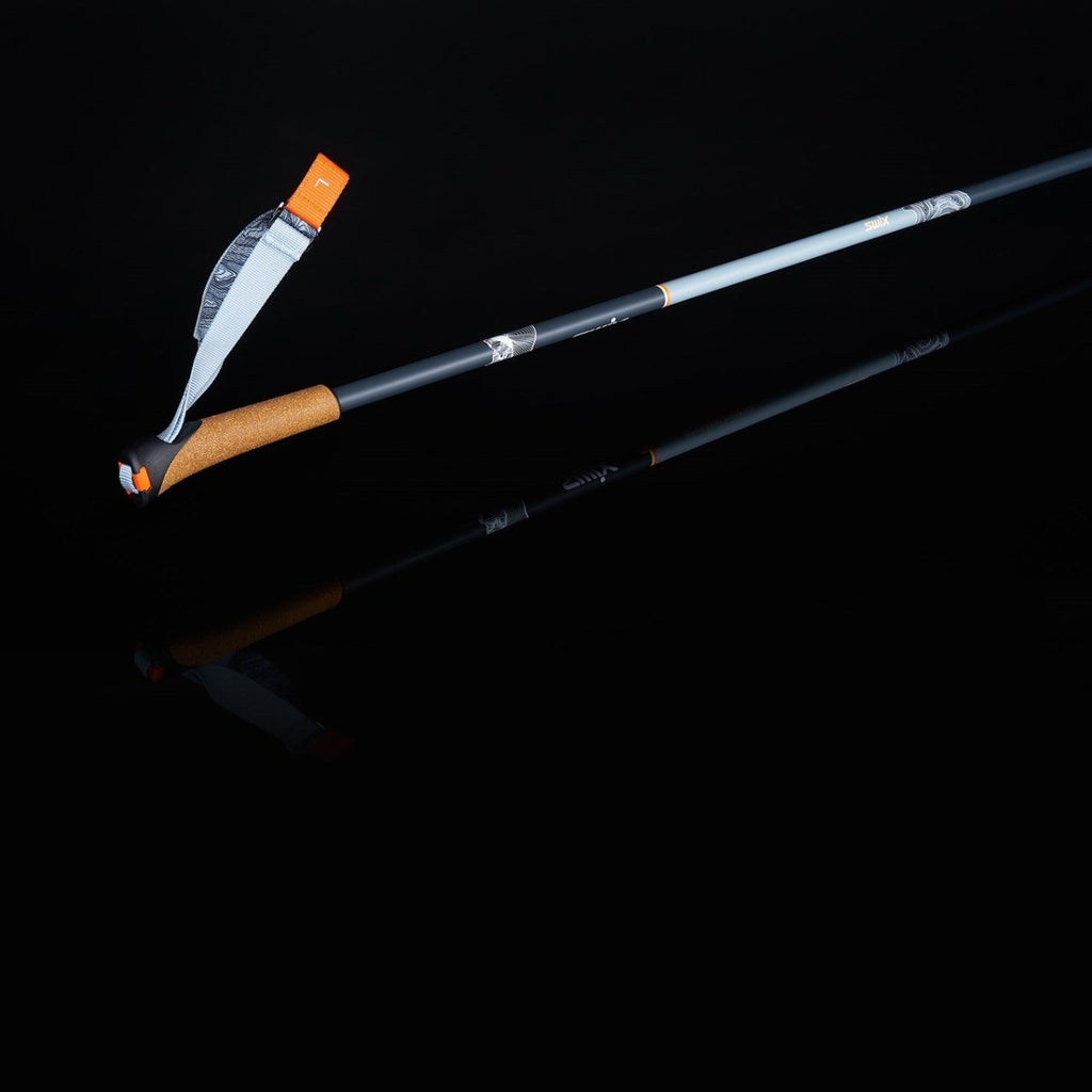 Bâtons de ski de fond de hors-piste Swix Mountain Touring