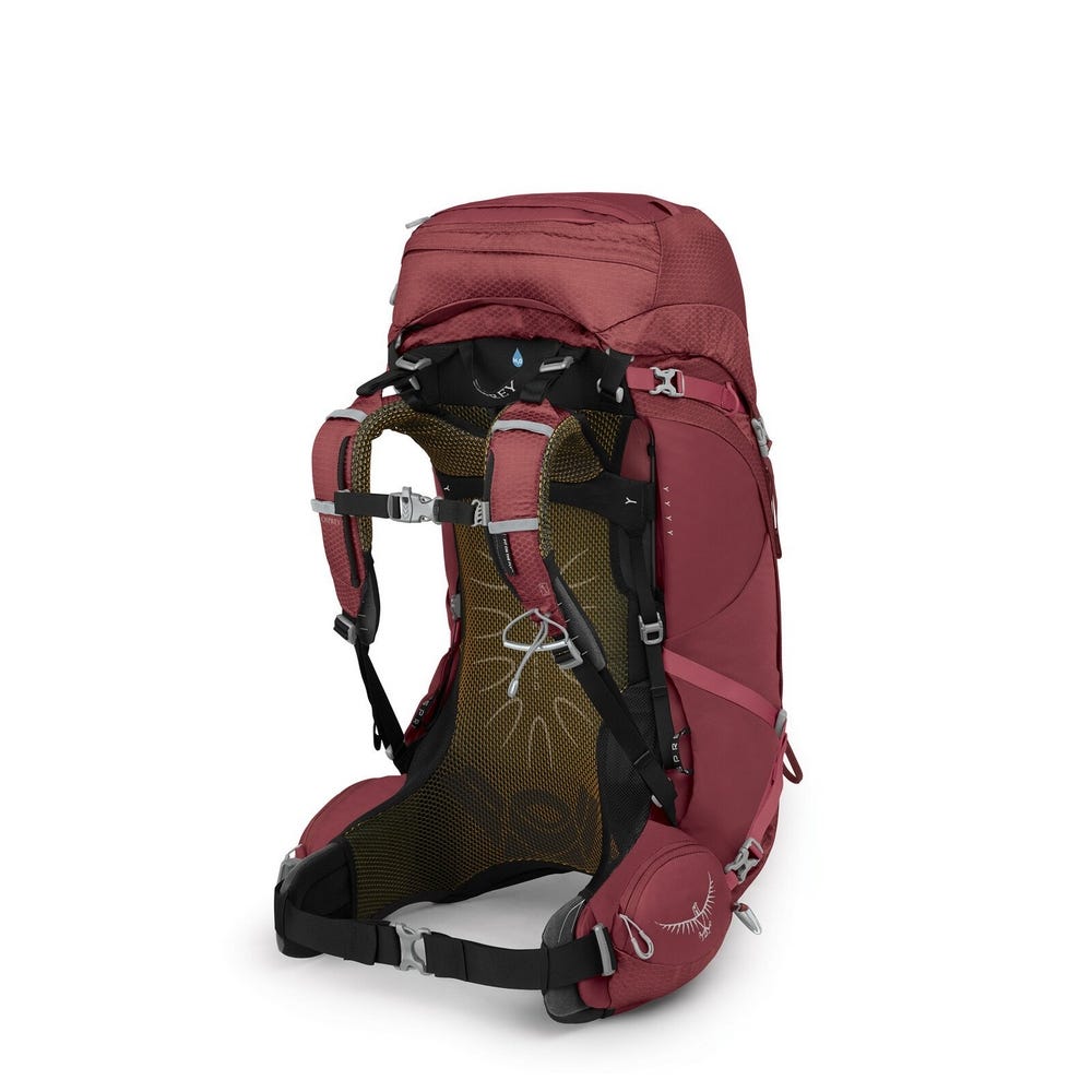La new arrivals cordée osprey